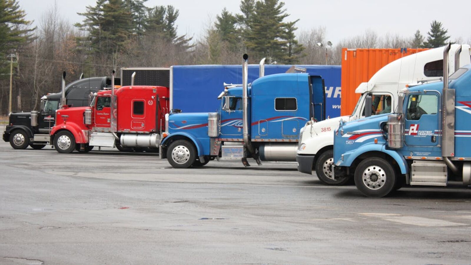 Выкуп коммерческого транспорта в Санкт-Петербурге — Multiple semi trucks in vivid colors parked outdoors in a spacious lot.