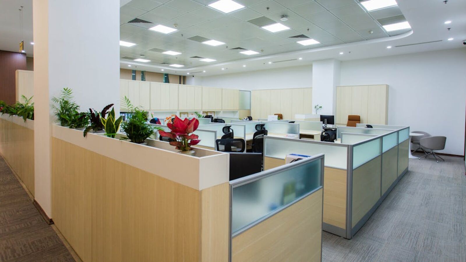 Выкуп офисов в Санкт-Петербурге — Spacious and bright open office area with cubicles, plants, and contemporary design.