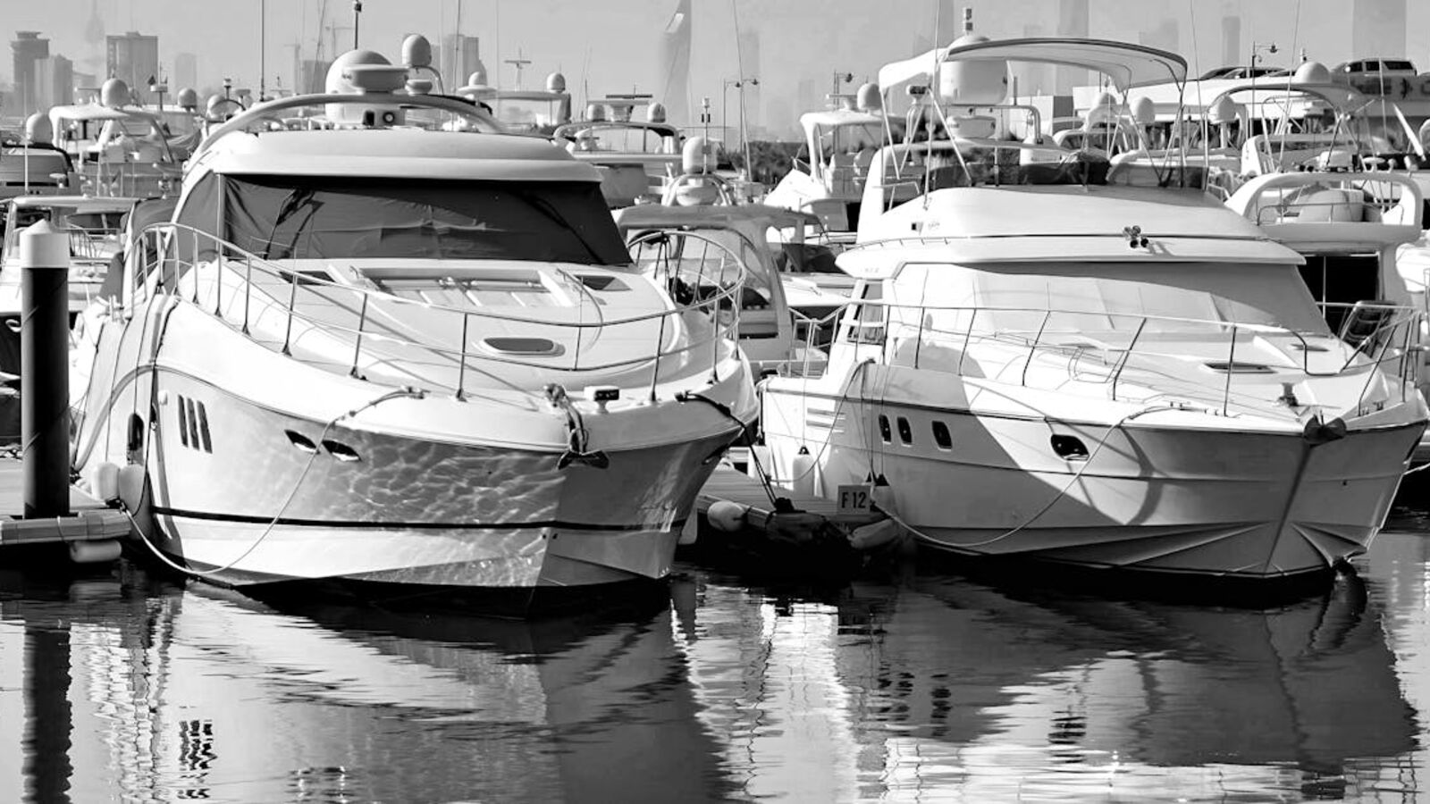 Elegant luxury yachts docked in an urban marina with cityscape backdrop.